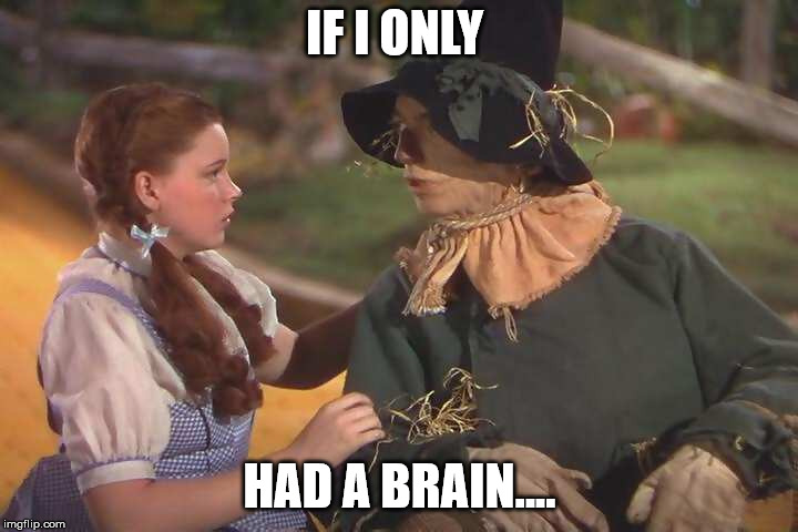 Dorothy and scarecrow | IF I ONLY HAD A BRAIN.... | image tagged in dorothy and scarecrow | made w/ Imgflip meme maker