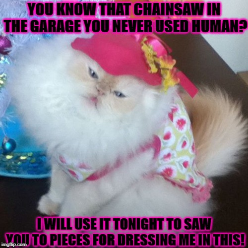 YOU KNOW THAT CHAINSAW IN THE GARAGE YOU NEVER USED HUMAN? I WILL USE IT TONIGHT TO SAW YOU TO PIECES FOR DRESSING ME IN THIS! | image tagged in time to die slave | made w/ Imgflip meme maker