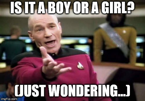 Picard Wtf Meme | IS IT A BOY OR A GIRL? (JUST WONDERING...) | image tagged in memes,picard wtf | made w/ Imgflip meme maker