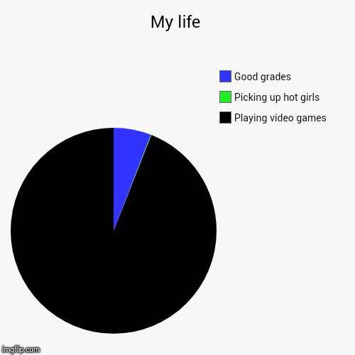 My life | Playing video games, Picking up hot girls, Good grades | image tagged in funny,pie charts | made w/ Imgflip chart maker