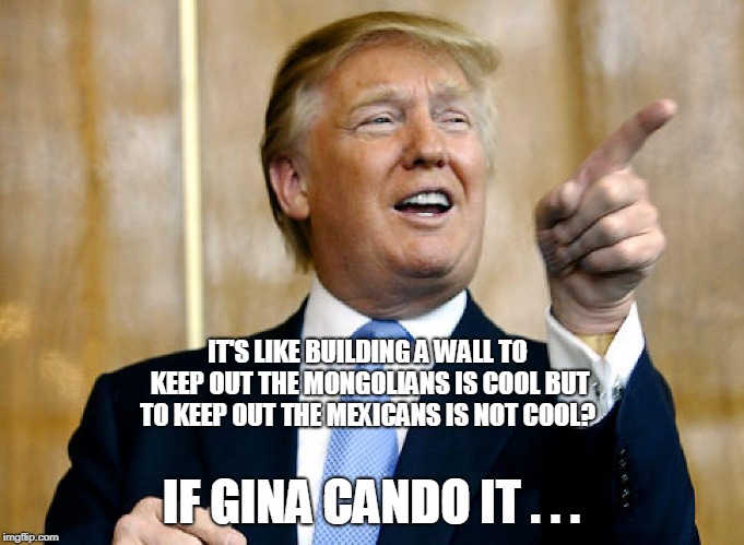 Trump Wall Gina | IT'S LIKE BUILDING A WALL TO KEEP OUT THE MONGOLIANS IS COOL BUT TO KEEP OUT THE MEXICANS IS NOT COOL? IF GINA CANDO IT . . . | image tagged in the wall,trump,donald trump,china,great wall of china,walls | made w/ Imgflip meme maker