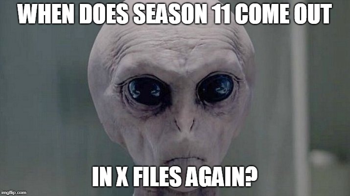 WHEN DOES SEASON 11 COME OUT; IN X FILES AGAIN? | image tagged in x files,alien | made w/ Imgflip meme maker