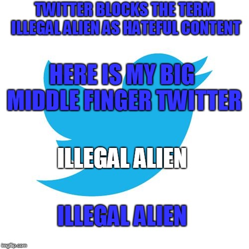 Twitter birds says | TWITTER BLOCKS THE TERM ILLEGAL ALIEN AS HATEFUL CONTENT; HERE IS MY BIG MIDDLE FINGER TWITTER; ILLEGAL ALIEN; ILLEGAL ALIEN | image tagged in twitter birds says | made w/ Imgflip meme maker