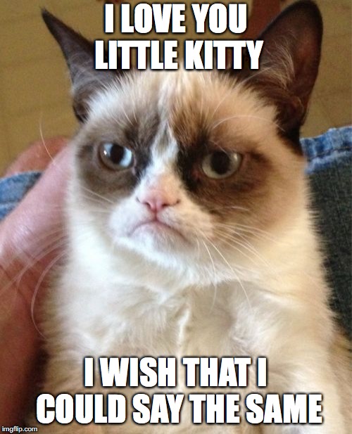 Grumpy Cat Meme | I LOVE YOU LITTLE KITTY; I WISH THAT I COULD SAY THE SAME | image tagged in memes,grumpy cat | made w/ Imgflip meme maker