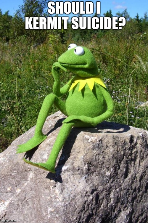 Kermit-thinking | SHOULD I KERMIT SUICIDE? | image tagged in kermit-thinking | made w/ Imgflip meme maker