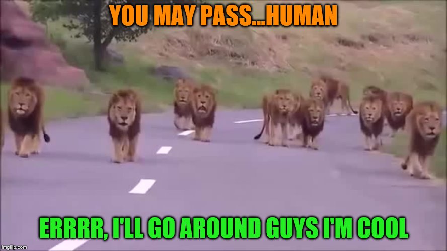 YOU MAY PASS...HUMAN ERRRR, I'LL GO AROUND GUYS I'M COOL | made w/ Imgflip meme maker