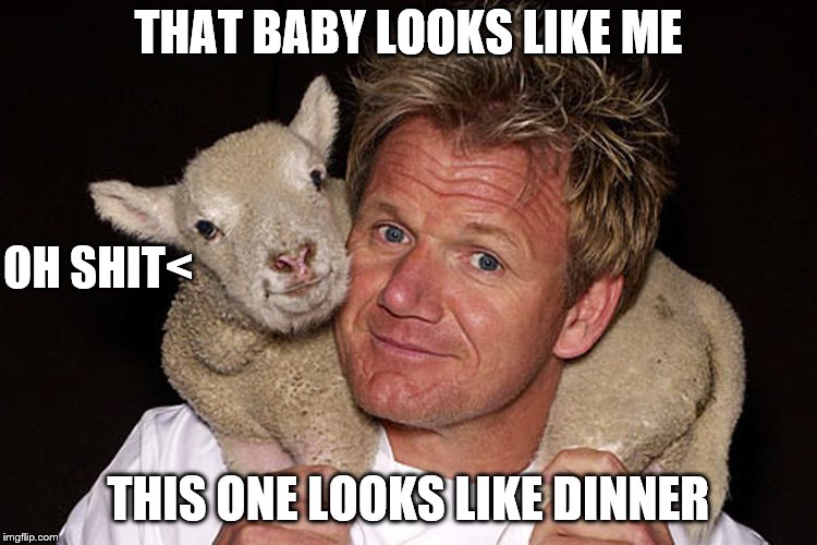 THAT BABY LOOKS LIKE ME THIS ONE LOOKS LIKE DINNER OH SHIT< | made w/ Imgflip meme maker