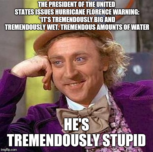 Creepy Condescending Wonka Meme | THE PRESIDENT OF THE UNITED STATES ISSUES HURRICANE FLORENCE WARNING: “IT'S TREMENDOUSLY BIG AND TREMENDOUSLY WET. TREMENDOUS AMOUNTS OF WATER; HE'S TREMENDOUSLY STUPID | image tagged in memes,creepy condescending wonka | made w/ Imgflip meme maker