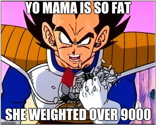 Vegeta over 9000 | YO MAMA IS SO FAT; SHE WEIGHTED OVER 9000 | image tagged in vegeta over 9000 | made w/ Imgflip meme maker