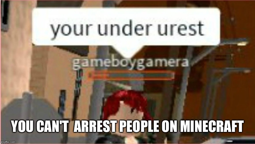 YOU CAN'T  ARREST PEOPLE ON MINECRAFT | made w/ Imgflip meme maker