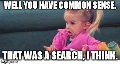 Shrugging kid | WELL YOU HAVE COMMON SENSE. THAT WAS A SEARCH, I THINK. | image tagged in shrugging kid | made w/ Imgflip meme maker