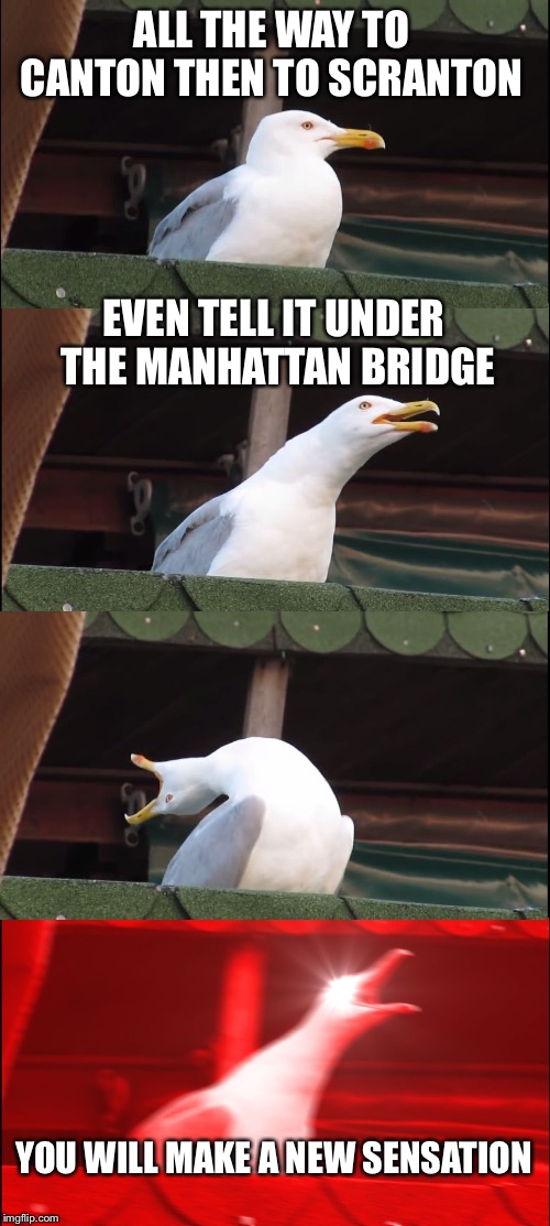 Inhaling Seagull | ALL THE WAY TO CANTON THEN TO SCRANTON; EVEN TELL IT UNDER THE MANHATTAN BRIDGE; YOU WILL MAKE A NEW SENSATION | image tagged in memes,inhaling seagull | made w/ Imgflip meme maker