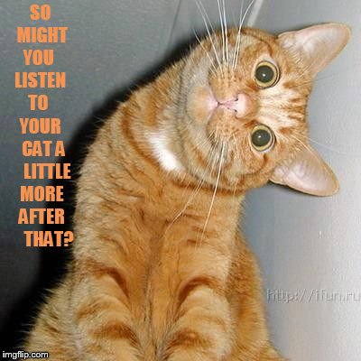 SO MIGHT YOU   LISTEN   TO    YOUR   CAT A    LITTLE MORE AFTER     THAT? | made w/ Imgflip meme maker