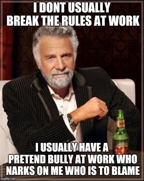 The Most Interesting Man In The World | I DONT USUALLY BREAK THE RULES AT WORK; I USUALLY HAVE A PRETEND BULLY AT WORK WHO NARKS ON ME WHO IS TO BLAME | image tagged in memes,the most interesting man in the world | made w/ Imgflip meme maker
