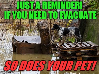 Just a PSA! Don't assume they will be "okay". Get your pets to safety! Chickens, dogs, cats, whatever! Don't #don'tleave'em! | JUST A REMINDER! IF YOU NEED TO EVACUATE; SO DOES YOUR PET! | image tagged in abandoned dog,nixieknox | made w/ Imgflip meme maker