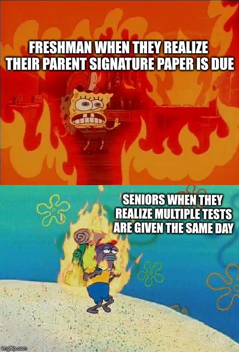 Spongebob Fire | FRESHMAN WHEN THEY REALIZE THEIR PARENT SIGNATURE PAPER IS DUE; SENIORS WHEN THEY REALIZE MULTIPLE TESTS ARE GIVEN THE SAME DAY | image tagged in spongebob fire | made w/ Imgflip meme maker