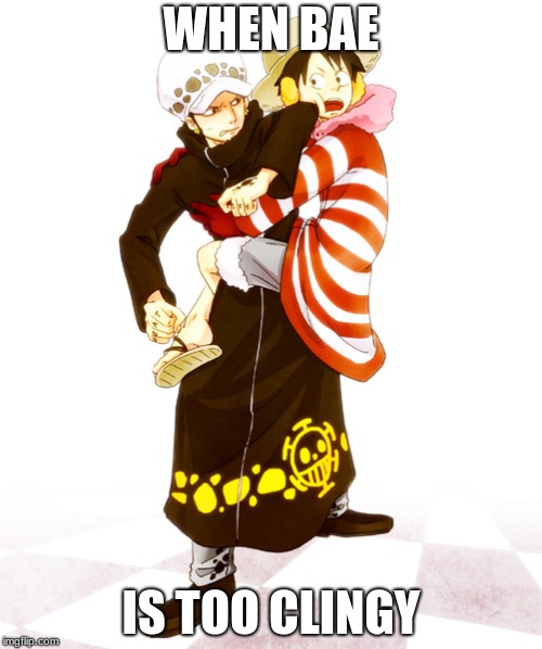 WHEN BAE; IS TOO CLINGY | image tagged in anime,one piece | made w/ Imgflip meme maker