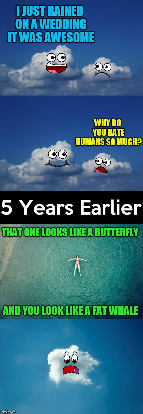 Just remember clouds can take things way too Cirrus | I JUST RAINED ON A WEDDING IT WAS AWESOME; WHY DO YOU HATE HUMANS SO MUCH? THAT ONE LOOKS LIKE A BUTTERFLY; AND YOU LOOK LIKE A FAT WHALE | image tagged in memes,cloud,clouds,cirrus,jokes,wedding | made w/ Imgflip meme maker