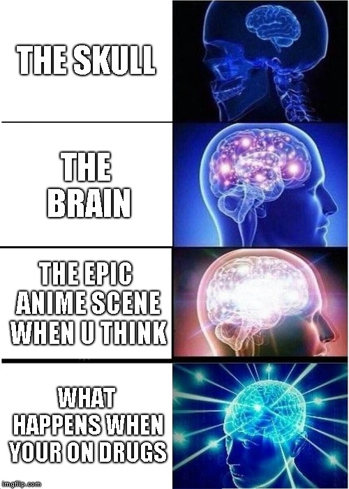 Expanding Brain Meme | THE SKULL; THE BRAIN; THE EPIC ANIME SCENE WHEN U THINK; WHAT HAPPENS WHEN YOUR ON DRUGS | image tagged in memes,expanding brain | made w/ Imgflip meme maker