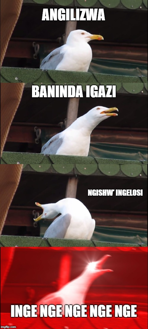 Inhaling Seagull Meme | ANGILIZWA; BANINDA IGAZI; NGISHW' INGELOSI; INGE NGE NGE NGE NGE | image tagged in memes,inhaling seagull | made w/ Imgflip meme maker