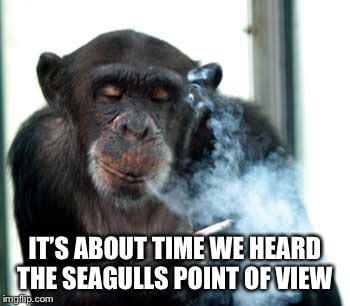 IT’S ABOUT TIME WE HEARD THE SEAGULLS POINT OF VIEW | made w/ Imgflip meme maker