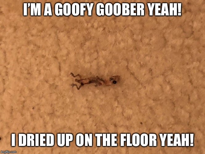 I’M A GOOFY GOOBER YEAH! I DRIED UP ON THE FLOOR YEAH! | image tagged in memes,funny,spongebob,gecko | made w/ Imgflip meme maker