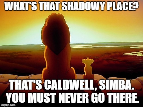 Lion King Meme | WHAT'S THAT SHADOWY PLACE? THAT'S CALDWELL, SIMBA. YOU MUST NEVER GO THERE. | image tagged in memes,lion king | made w/ Imgflip meme maker