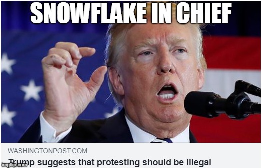 SNOWFLAKE IN CHIEF | image tagged in alt right | made w/ Imgflip meme maker