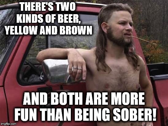 Almost politically correct redneck | THERE'S TWO KINDS OF BEER, YELLOW AND BROWN; AND BOTH ARE MORE FUN THAN BEING SOBER! | image tagged in almost politically correct redneck,beer,sober | made w/ Imgflip meme maker