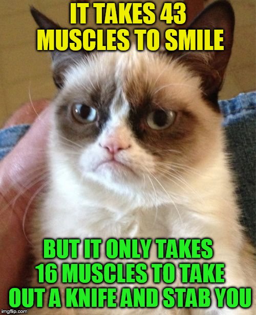 Grumpy Cat Meme | IT TAKES 43 MUSCLES TO SMILE; BUT IT ONLY TAKES 16 MUSCLES TO TAKE OUT A KNIFE AND STAB YOU | image tagged in memes,grumpy cat,smile,knife,muscles,43 vs 16 | made w/ Imgflip meme maker