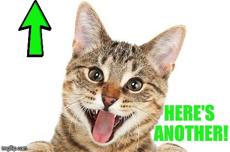 HERE'S ANOTHER! | made w/ Imgflip meme maker
