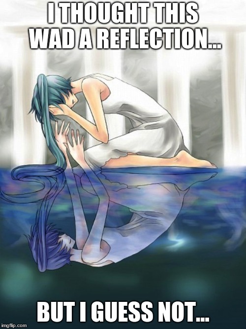 Miku's Tender Reflection | I THOUGHT THIS WAD A REFLECTION... BUT I GUESS NOT... | image tagged in miku's tender reflection | made w/ Imgflip meme maker