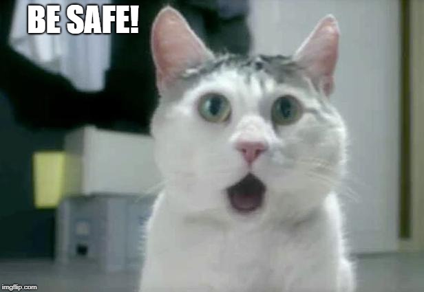 OMG Cat Meme | BE SAFE! | image tagged in memes,omg cat | made w/ Imgflip meme maker