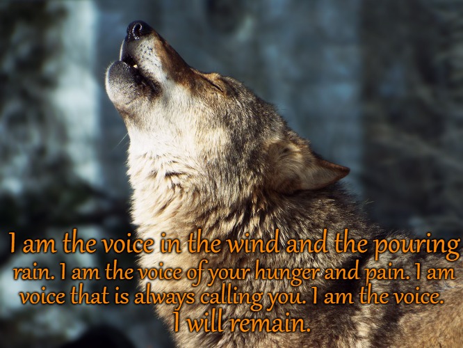 Wolf Saying I am The Voice In The Wind | I am the voice in the wind and the pouring; rain. I am the voice of your hunger and pain. I am; voice that is always calling you. I am the voice. I will remain. | image tagged in wolf,wolves,native american,native americans,indiands,tribe | made w/ Imgflip meme maker