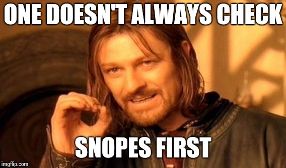 One Does Not Simply Meme | ONE DOESN'T ALWAYS CHECK SNOPES FIRST | image tagged in memes,one does not simply | made w/ Imgflip meme maker