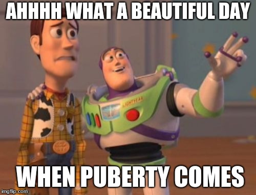X, X Everywhere Meme | AHHHH WHAT A BEAUTIFUL DAY; WHEN PUBERTY COMES | image tagged in memes,x x everywhere | made w/ Imgflip meme maker