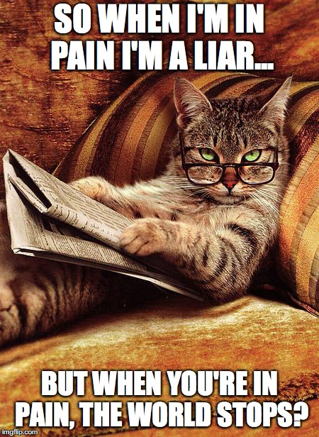 cat reading | SO WHEN I'M IN PAIN I'M A LIAR... BUT WHEN YOU'RE IN PAIN, THE WORLD STOPS? | image tagged in cat reading | made w/ Imgflip meme maker