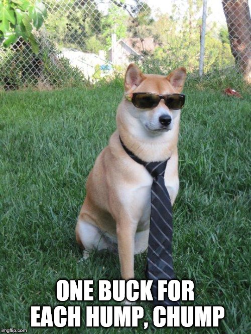 Business doge | ONE BUCK FOR EACH HUMP, CHUMP | image tagged in business doge | made w/ Imgflip meme maker