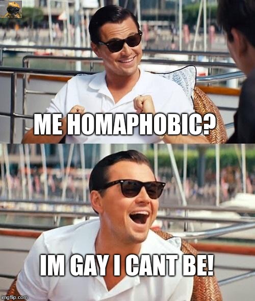 homaphobic?! | ME HOMAPHOBIC? IM GAY I CANT BE! | image tagged in memes,leonardo dicaprio wolf of wall street,gay | made w/ Imgflip meme maker