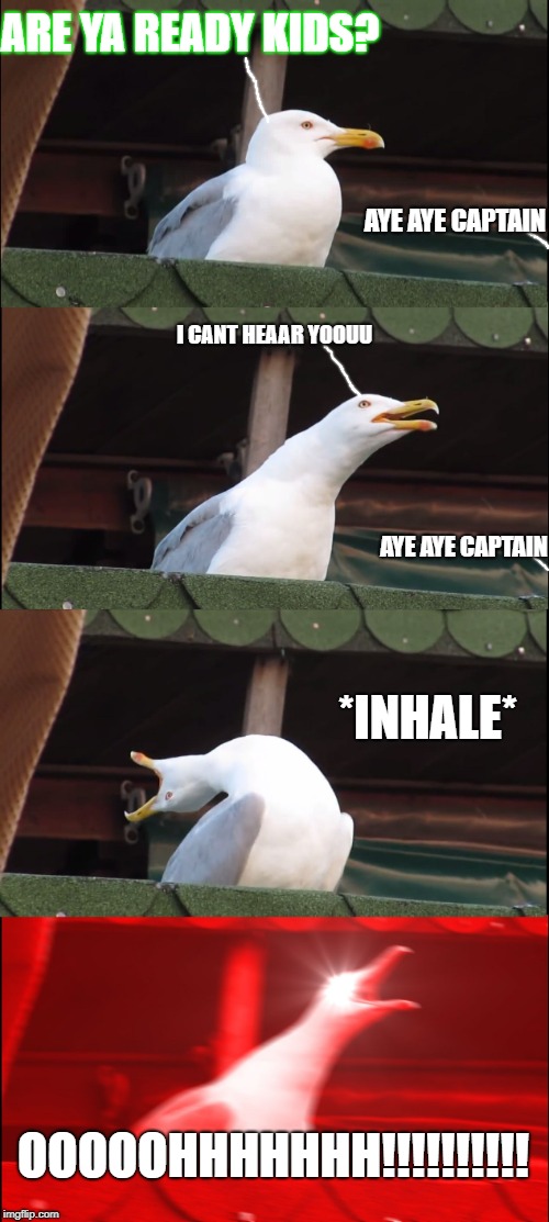 Inhaling Seagull Meme | ARE YA READY KIDS? AYE AYE CAPTAIN; I CANT HEAAR YOOUU; AYE AYE CAPTAIN; *INHALE*; OOOOOHHHHHHH!!!!!!!!!! | image tagged in memes,inhaling seagull | made w/ Imgflip meme maker