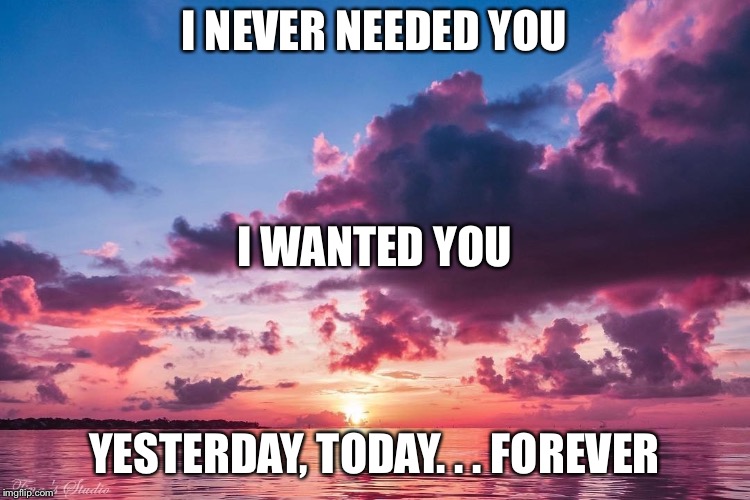 Sunset  | I NEVER NEEDED YOU; I WANTED YOU; YESTERDAY, TODAY. . . FOREVER | image tagged in sunset | made w/ Imgflip meme maker