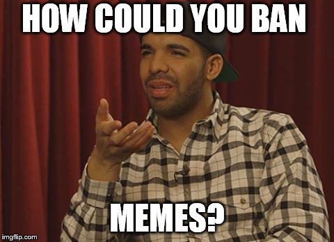 What? Drake | HOW COULD YOU BAN; MEMES? | image tagged in what drake | made w/ Imgflip meme maker