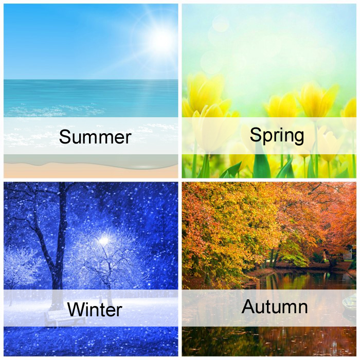 The 4 Seasons Blank Meme Template
