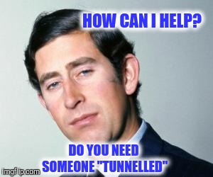 HOW CAN I HELP? DO YOU NEED SOMEONE "TUNNELLED" | made w/ Imgflip meme maker