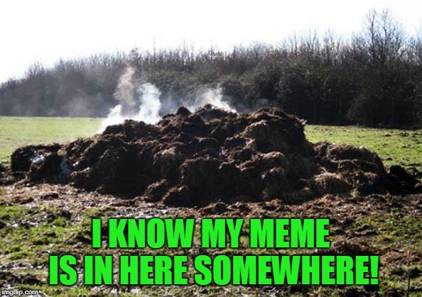 Steaming pile of shit | I KNOW MY MEME IS IN HERE SOMEWHERE! | image tagged in steaming pile of shit | made w/ Imgflip meme maker