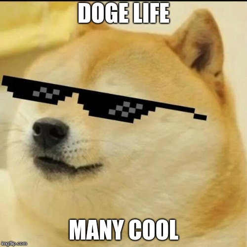 Sunglass Doge | DOGE LIFE; MANY COOL | image tagged in sunglass doge | made w/ Imgflip meme maker
