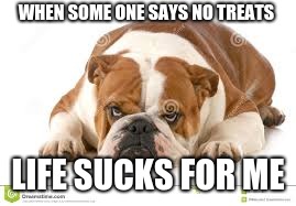 dog life | WHEN SOME ONE SAYS NO TREATS; LIFE SUCKS FOR ME | image tagged in memes | made w/ Imgflip meme maker