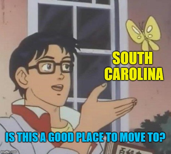 Is This A Pigeon Meme | SOUTH CAROLINA IS THIS A GOOD PLACE TO MOVE TO? | image tagged in memes,is this a pigeon | made w/ Imgflip meme maker