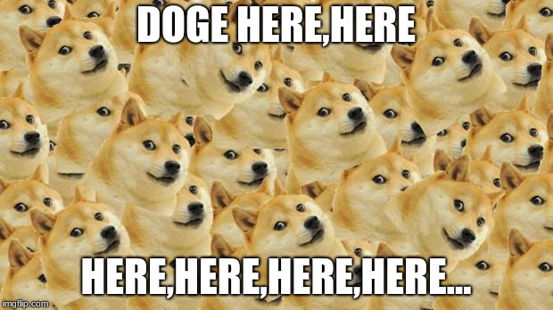 Multi Doge Meme | DOGE HERE,HERE; HERE,HERE,HERE,HERE... | image tagged in memes,multi doge | made w/ Imgflip meme maker