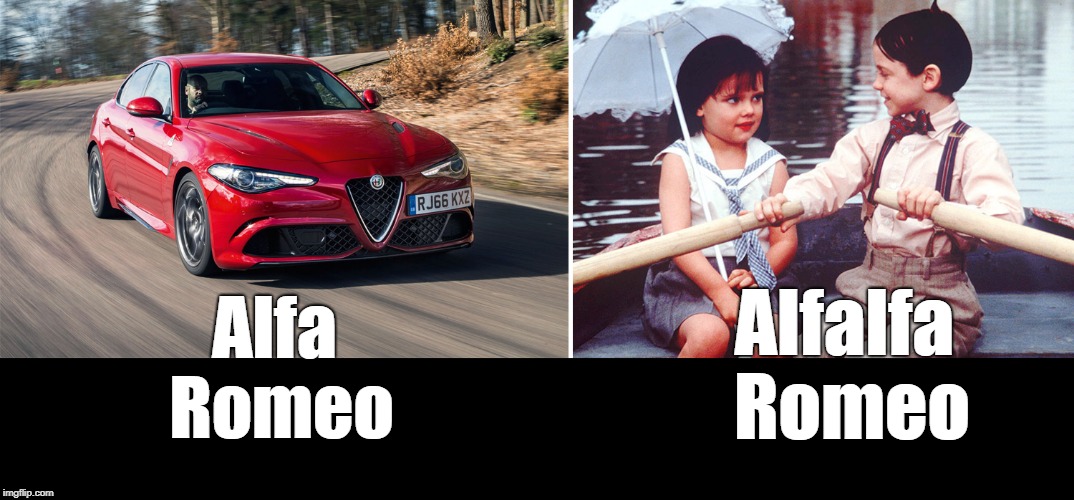 Separated at birth? | Alfalfa Romeo; Alfa Romeo | image tagged in alfalfa,little rascals | made w/ Imgflip meme maker